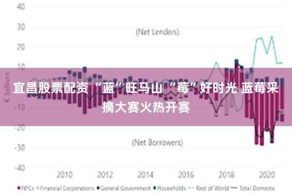 宜昌股票配资 “蓝”旺马山 “莓”好时光 蓝莓采摘大赛火热开赛