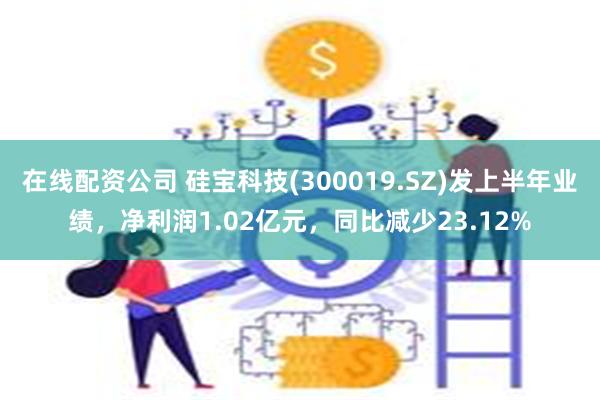 在线配资公司 硅宝科技(300019.SZ)发上半年业绩，净利润1.02亿元，同比减少23.12%