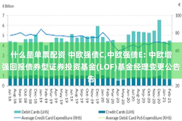 什么是单票配资 中欧强债C,中欧强债E: 中欧增强回报债券型证券投资基金(LOF)基金经理变更公告