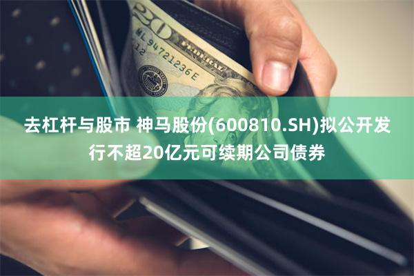 去杠杆与股市 神马股份(600810.SH)拟公开发行不超20亿元可续期公司债券