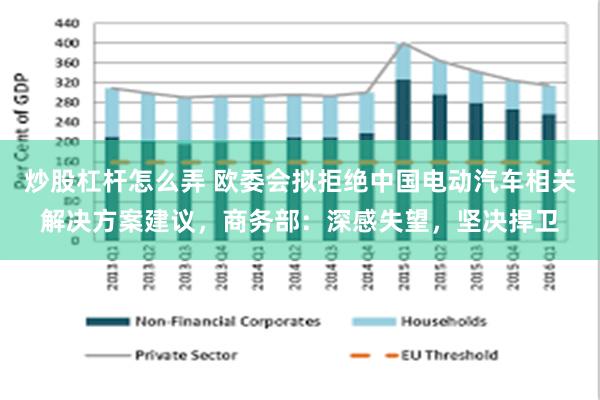 炒股杠杆怎么弄 欧委会拟拒绝中国电动汽车相关解决方案建议，商务部：深感失望，坚决捍卫