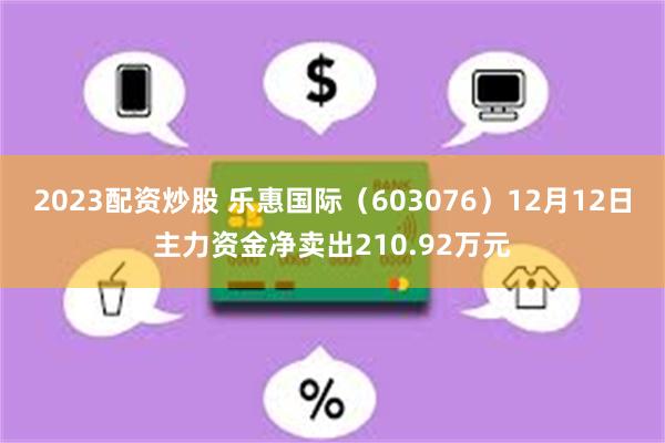 2023配资炒股 乐惠国际（603076）12月12日主力资金净卖出210.92万元