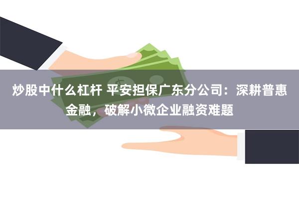 炒股中什么杠杆 平安担保广东分公司：深耕普惠金融，破解小微企业融资难题