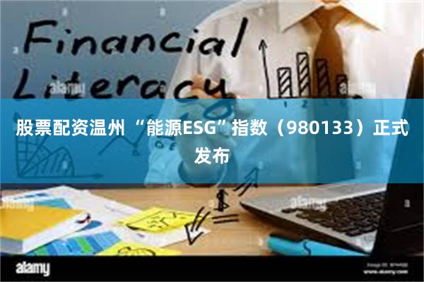 股票配资温州 “能源ESG”指数（980133）正式发布