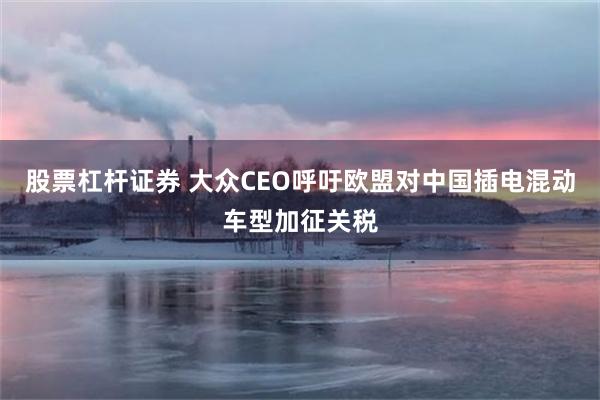股票杠杆证券 大众CEO呼吁欧盟对中国插电混动车型加征关税